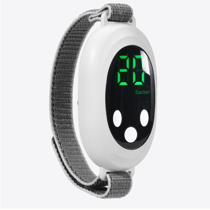 Handheld Portable Pulse Sleep Aid